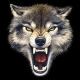 TOP_WOLF's avatar